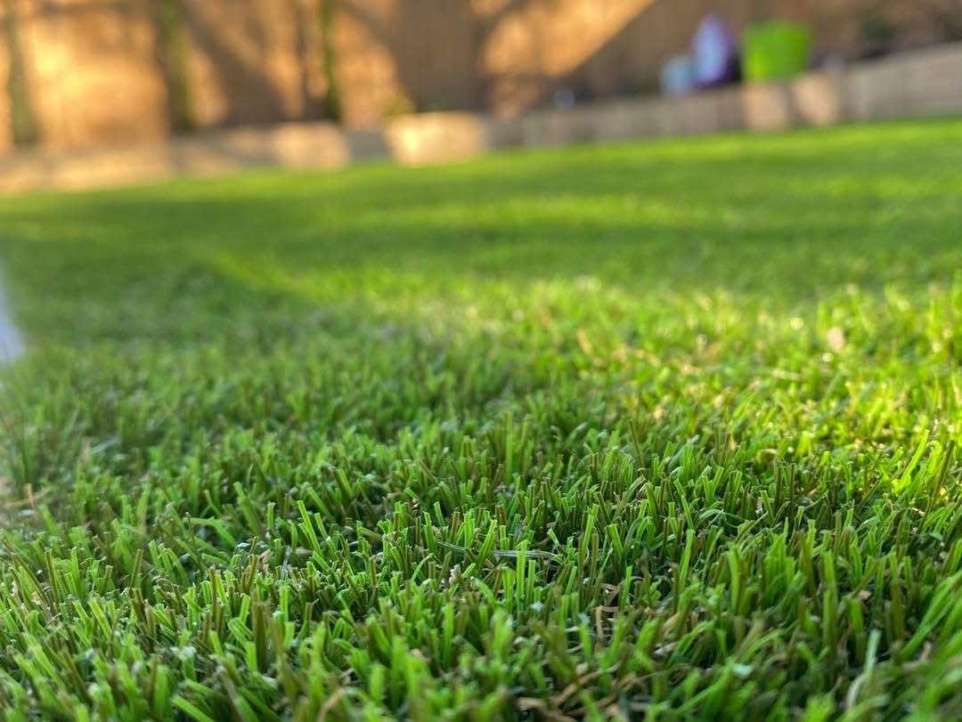 grass