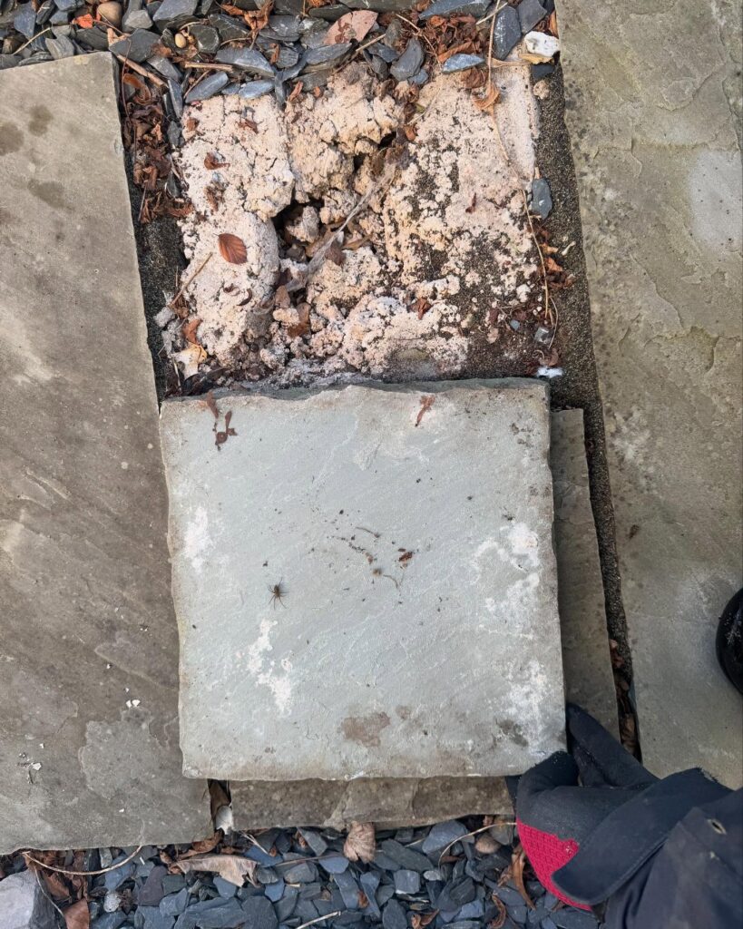 failure to prime paving